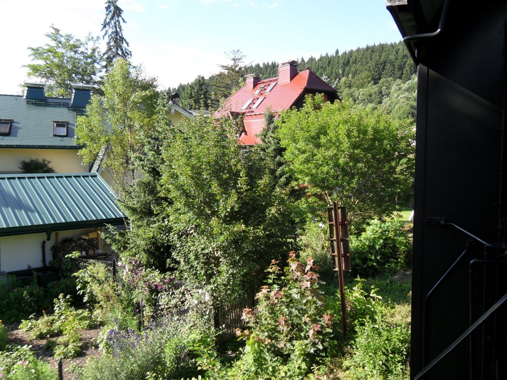 Blick aus dem Zugfenster bei Sttzerbach, August 2010