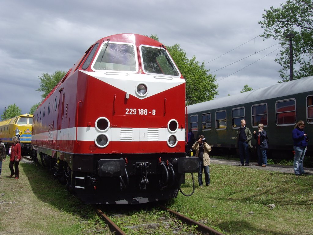 BR 229 der Deutschen Reichsbahn - Mai 2010