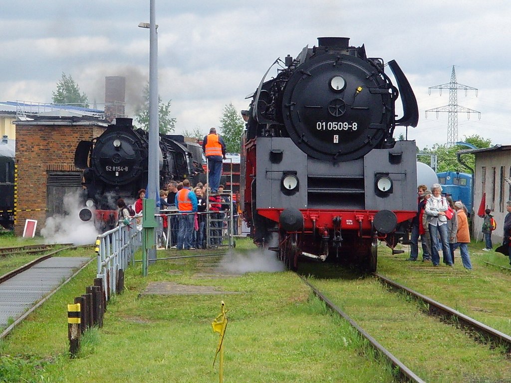 Dampfloks im Bw Weimar - Mai 2010