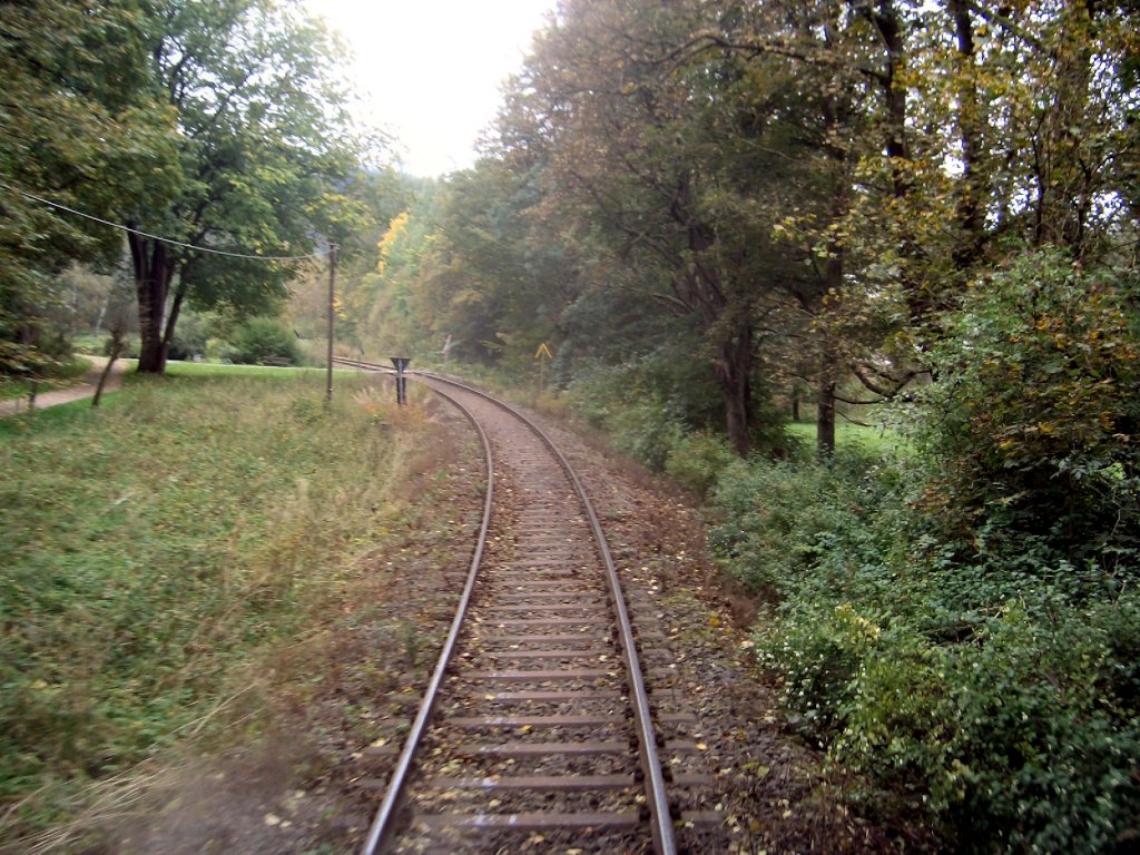 Streckenverlauf oberhalb von Sttzerbach, 2005