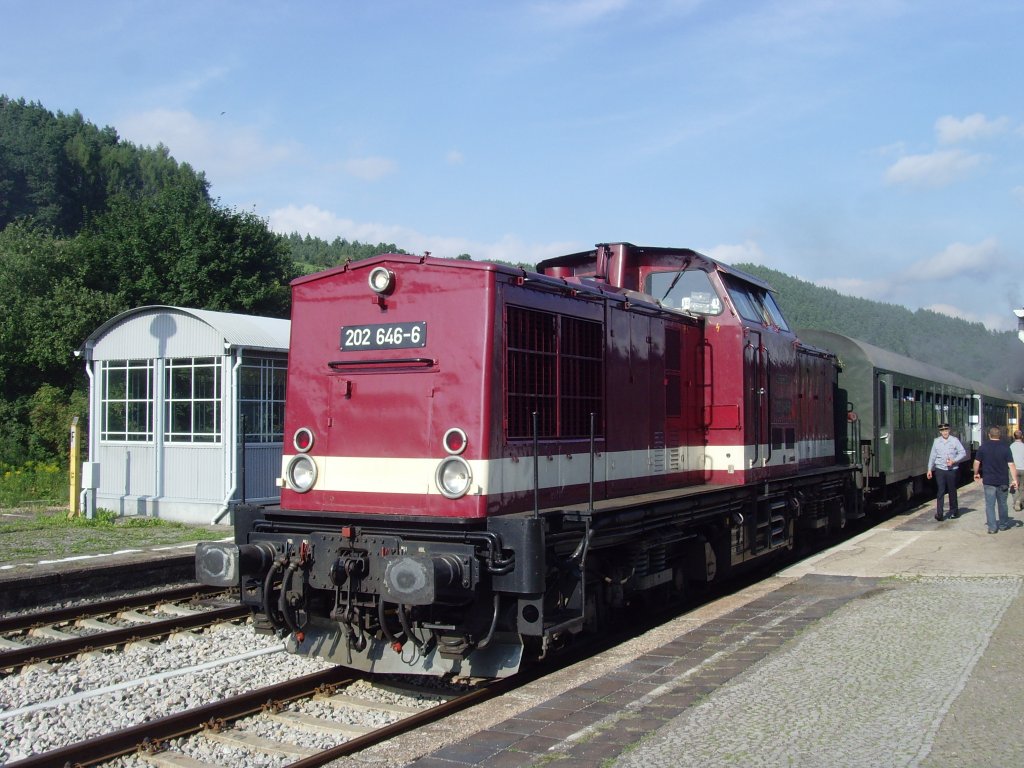 Zug nach Katzhtte mit BR 202 am bahnsteig 1 in Rottenbach, 14.8. 2010