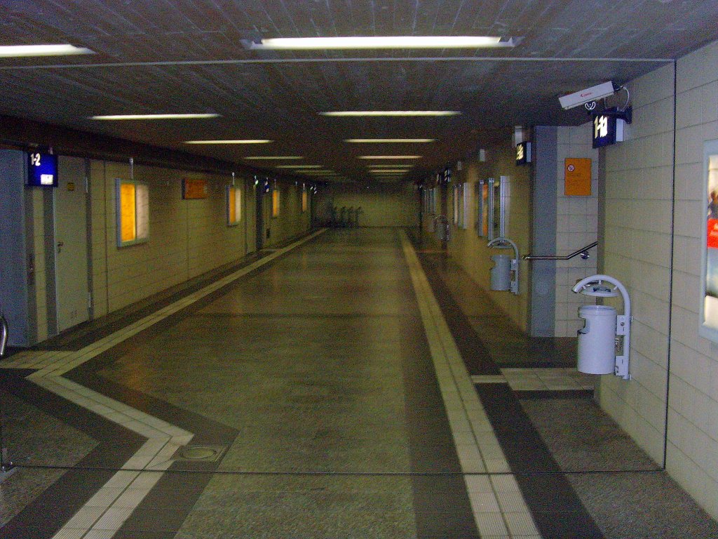 Zugang zu den Bahnsteigen, Bahnhof Saalfeld Saale 28-8-2010