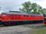 Lok  316 der MEG (ex V300,130 der DR) im Bw Weimar Mai 2010