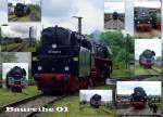Schnellzugdampflokomotive 01 im Bw Weimar im Mai 2010