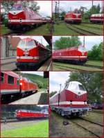 diesel/166467/119219-er-in-thueringen 119/219 er in Thringen