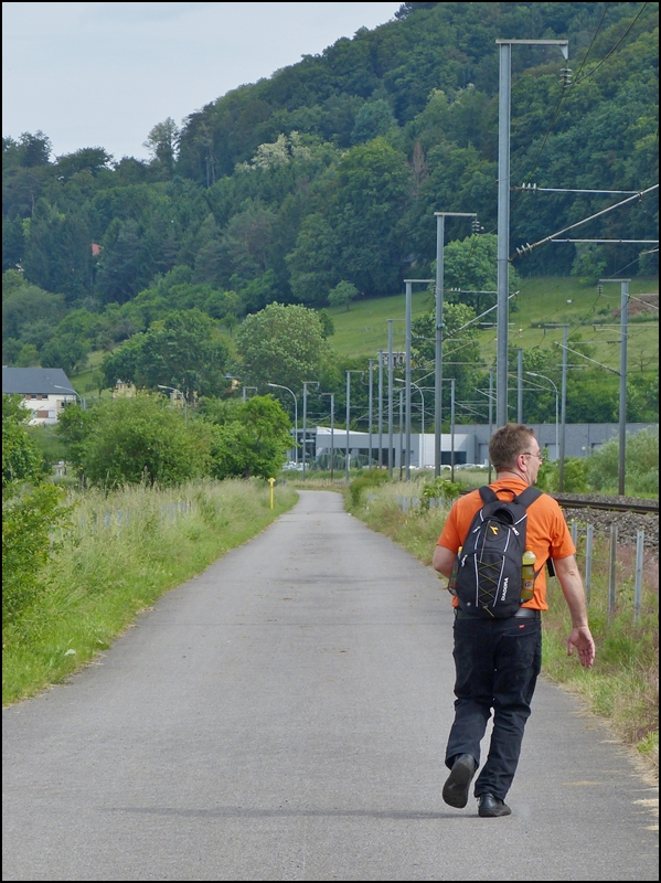 . Auf der Suche nach einer geeigneten Fotostelle in der N�he von Lintgen. 15.06.2013 (Jeanny)