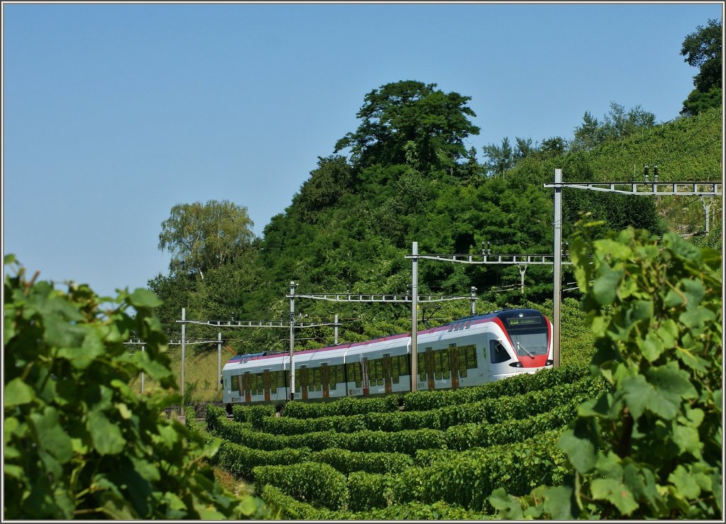 Ein Flirt mit den Weinbergen?
(Grandvaux,18.07.2012)