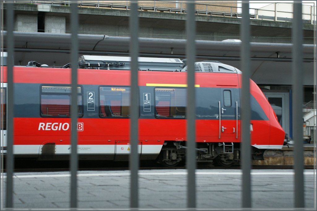 Ein Hamster in seinem K�fig. 
(Koblenz, den 26. Sept. 2012)