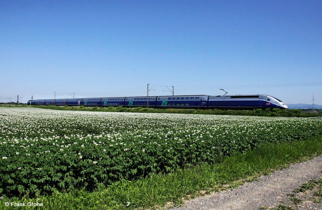 Franz�sischer TGV im bayerischen Kartoffelfeld! SNFC TGV 4701 auf Messfahrt von Plattling nach Straubing, KBS 880 N�rnberg - Passau, fotografiert bei Stra�kirchen am 29.06.2011