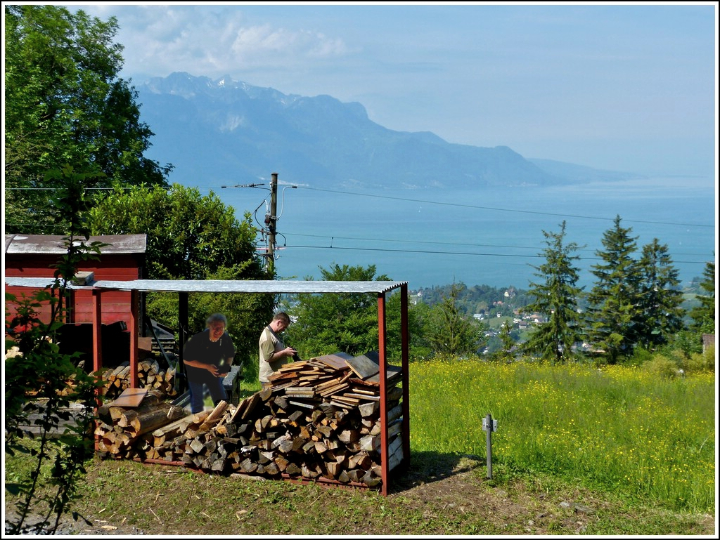 Passend zu Christines Bild: Der eine hat uns entdeckt, w�hrend der andere noch schauen muss, welche Blende er nehmen soll. ;-) 27.05.2012 (Jeanny)