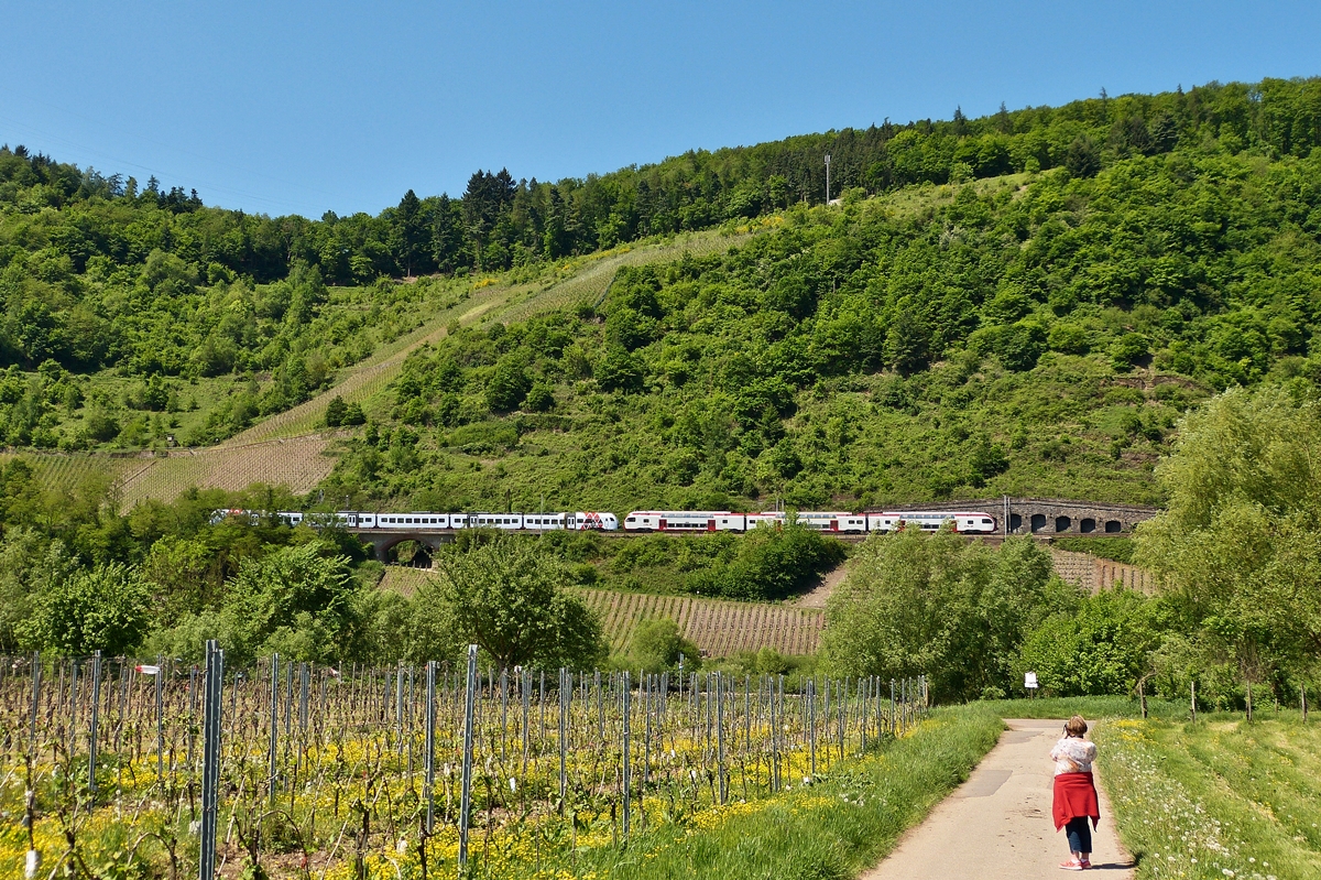 . Was fotografiert die  alte  Dame denn nur, das ist doch sowieso  Motiv verdeckt  - Auf dem Weg zur�ck zum Auto in P�nderich, kamen noch die beiden gekuppelten CFL KISS und DB Regio S�wex aus Richtung Trier und fuhren auf den P�ndericher Hangviadukt auf ihrer Reise nach Koblenz. 13.05.2015 (Hans)