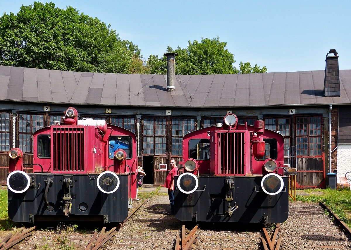 . Welche von den beiden w�rde wohl am besten in meinen Garten passen? Dampflokmuseum Hermeskeil, 09.06.2014 (Jeanny)