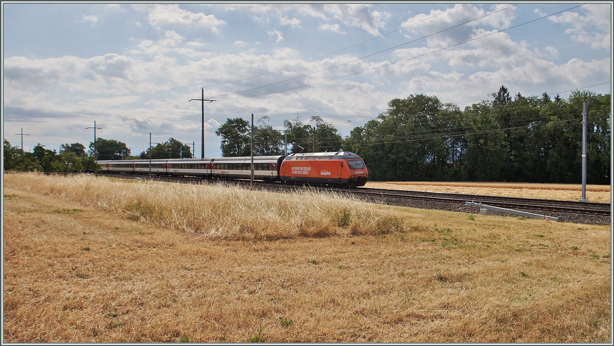 Auf Flughöhe  null : die  easy jet  Re 460 063-1 mit dem IR 1716 von Brig nach Genève Aéroport kurz nach Allaman.
8. Juli 2015