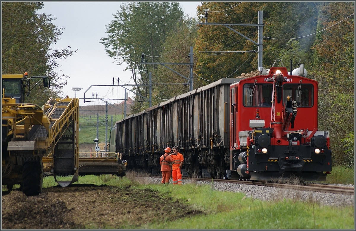 Bei der BAM werden die Zuckerrüben auf freier Strecke verladen, das ist Kundennähe! 
BAM Te 2/2 41, sieben SBB Eaos und BAM Ge 4/4 bei Apples und Pampigny Sévery am 15. Okt. 2014