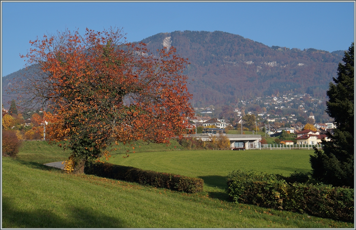Dank der  Goldenpass-Lackierung ein  Bahnsuchbild ...
Der CEV GTW Be 2/6  Blonay bei Château d'Hauteville. 
2. Nov. 2015
