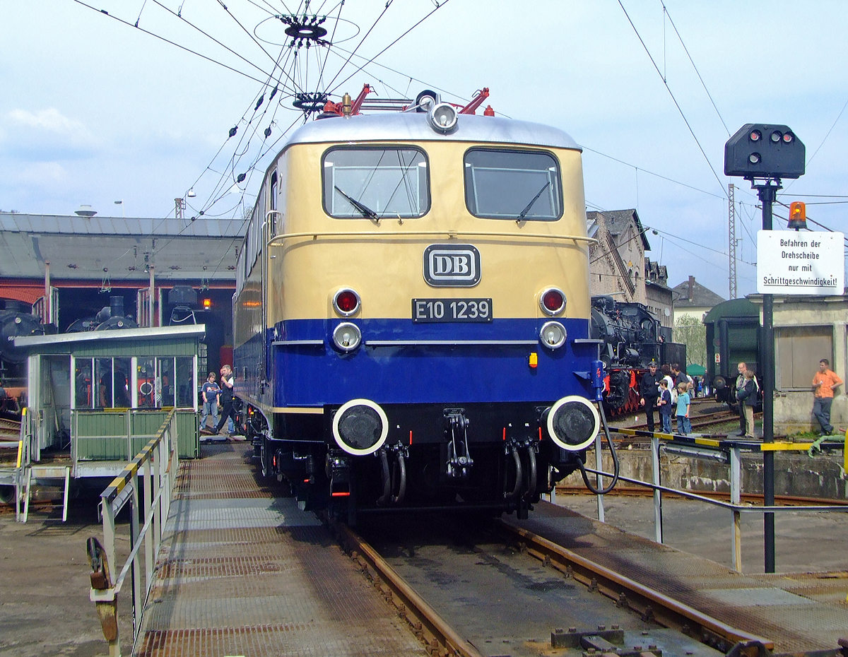 Die E 10 1239, ex DB 110 239-1, ex DB E 10 239, wird am 12.04.2010 auf der Drehscheibe im Südwestfälische Eisenbahnmuseum in Siegen präsentiert.

Die Lokomotive E 10 1239 wurde 1962 von  Krauss-Maffei in München unter der Fabriknummer 18741 gebaut, der elektrische Teil ist von Siemens, und von der Deutschen Bundesbahn nach Abnahmefahrten nach Ingolstadt und Salzburg von München aus am 22.02.1962 abgenommen. Die vorgestellte 1 in der Lokbezeichnung weist auf die abweichende maximale Geschwindigkeit von 160 km/h statt der üblichen 150 km/h hin. Diese Änderung wurde für den Einsatz vor Rheingold-Zügen notwendig und wurde über die Änderung der Getriebeübersetzung von 1 : 1,91 statt 1 : 2,11 erreicht. Entgegen landläufig verbreiteter Ansicht hatte  E 10 1239 nicht die nur bei E 10 1244 eingebauten sogenannten Schnellfahrdrehgestelle aus dem Hause Henschel, sondern lief wie die  normalen  Lokomotiven der Baureihe E 10 auf Seriendrehgestellen.

Wichtigstes äußerliches Merkmal der technisch abweichenden Lokomotive war der Anstrich der Lokomotive in den neuen, für den Rheingold vorgesehenen Farben Beige/ Kobaltblau, in welchen sie nach der Übernahme durch die Deutsche Bundesbahn zum Bw Heidelberg kam und von dort den Rheingoldzug zog. Auch heute gilt das Rheingold noch als Synonym für hochwertigen Reiseverkehr. In keiner anderen Farbgebung zogen Lokomotiven der Baureihe E 10 in Kastenform höherwertigere Züge, der Status als Schnellfahrlokomotive höchster Qualität war deutlich sichtbar, auch wiesen die Kasten-E 10.12 eine von ihren unscheinbar blau lackierten Schwestern eine nicht gekannte Eleganz auf.

Der Einsatz als Rheingold-Lokomotive währte für E 10 1239 nur rund 6 Monate, dennoch dürfte es der interessanteste Abschnitt ihres langen Arbeitslebens gewesen sein.

Mit der Indienststellung von E 10 1265 bis E 10 1270 (der späteren DB BR 112 bzw. nach der deutschen Wiedervereinigung BR 113) verlor E 10 1239 ihr elegantes Farbkleid. Sie wurde im AW München-Freimann blau lackiert, auf 150 km/h Höchstgeschwindigkeit zurückgebaut und zur E 10 239 umnummeriert. Die Beheimatung in Heidelberg wurde aufgegeben und die Maschine ging in den Bestand des Bw Nürnberg über, wo sie bis zum 25.5.1974 blieb.

Vom 26.5.1974 an war die Lok im Bw Stuttgart zu Hause, in Stuttgarter Zeit erlebte sie zum dritten Mal die Änderung ihres Anstrichs  in ihrer Laufbahn, sie wurde am 1977 oceanblau/beige. Mit der Umstellung auf das Computernummernsystem 1968 wurde sie zur 110 239-1. Im Jahre 2002 wurde sie im Rahmen der Hauptuntersuchung auch rein optisch ihren Schwestermaschinen vollends angeglichen werden, und wurde nun auch verkehrsrot Lackiert. Das wenig beliebte orientrote Farbschema hat sie nie getragen. 


Am 3.10.2008, dem Tag der Deutschen Einheit, war es erstmals möglich, die Rheingoldlokomotive E 10 1239 zusammen mit authentischen Rheingoldwagen des Freundeskreises Eisenbahn in Köln-Nippes zu sehen und abzulichten. 
