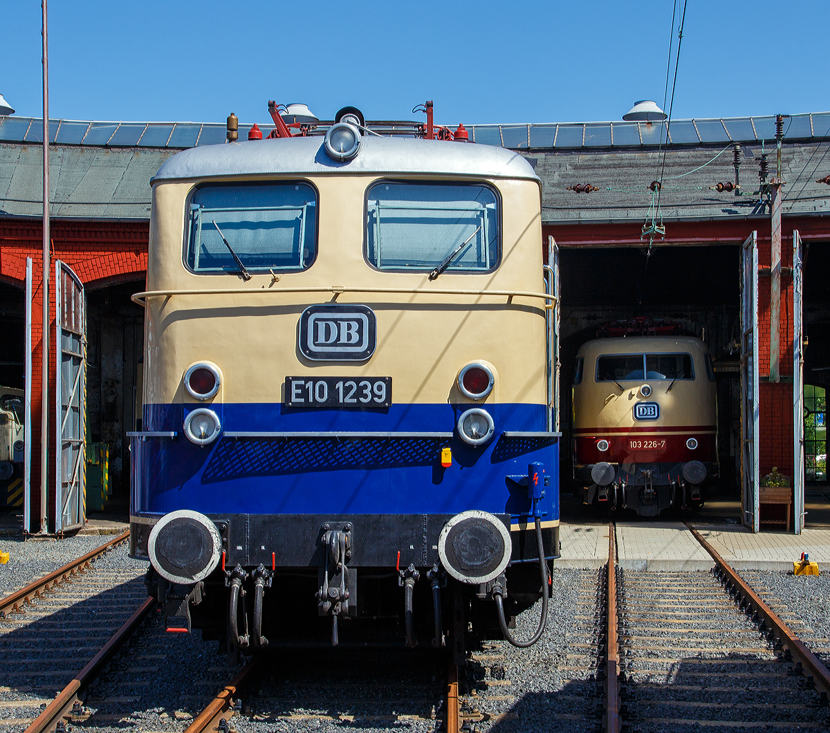 
Die E 10 1239, ex DB 110 239-1, ex DB E 10 239, am 30.06.2019  im S�dwestf�lische Eisenbahnmuseum in Siegen.

Die Lokomotive E 10 1239 wurde 1962 von Krauss-Maffei in M�nchen unter der Fabriknummer 18741 gebaut, der elektrische Teil ist von Siemens, und von der Deutschen Bundesbahn nach Abnahmefahrten nach Ingolstadt und Salzburg von M�nchen aus am 22.02.1962 abgenommen. Die vorgestellte 1 in der Lokbezeichnung weist auf die abweichende maximale Geschwindigkeit von 160 km/h statt der �blichen 150 km/h hin. Diese �nderung wurde f�r den Einsatz vor Rheingold-Z�gen notwendig und wurde �ber die �nderung der Getriebe�bersetzung von 1 : 1,91 statt 1 : 2,11 erreicht. Entgegen landl�ufig verbreiteter Ansicht hatte E 10 1239 nicht die nur bei E 10 1244 eingebauten sogenannten Schnellfahrdrehgestelle aus dem Hause Henschel, sondern lief wie die  normalen  Lokomotiven der Baureihe E 10 auf Seriendrehgestellen.

Wichtigstes �u�erliches Merkmal der technisch abweichenden Lokomotive war der Anstrich der Lokomotive in den neuen, f�r den Rheingold vorgesehenen Farben Beige/ Kobaltblau, in welchen sie nach der �bernahme durch die Deutsche Bundesbahn zum Bw Heidelberg kam und von dort den Rheingoldzug zog. Auch heute gilt das Rheingold noch als Synonym f�r hochwertigen Reiseverkehr. In keiner anderen Farbgebung zogen Lokomotiven der Baureihe E 10 in Kastenform h�herwertigere Z�ge, der Status als Schnellfahrlokomotive h�chster Qualit�t war deutlich sichtbar, auch wiesen die Kasten-E 10.12 eine von ihren unscheinbar blau lackierten Schwestern eine nicht gekannte Eleganz auf.

Der Einsatz als Rheingold-Lokomotive w�hrte f�r E 10 1239 nur rund 6 Monate, dennoch d�rfte es der interessanteste Abschnitt ihres langen Arbeitslebens gewesen sein.

Mit der Indienststellung von E 10 1265 bis E 10 1270 (der sp�teren DB BR 112 bzw. nach der deutschen Wiedervereinigung BR 113) verlor E 10 1239 ihr elegantes Farbkleid. Sie wurde im AW M�nchen-Freimann blau lackiert, auf 150 km/h H�chstgeschwindigkeit zur�ckgebaut und zur E 10 239 umnummeriert. Die Beheimatung in Heidelberg wurde aufgegeben und die Maschine ging in den Bestand des Bw N�rnberg �ber, wo sie bis zum 25.5.1974 blieb.

Vom 26.5.1974 an war die Lok im Bw Stuttgart zu Hause, in Stuttgarter Zeit erlebte sie zum dritten Mal die �nderung ihres Anstrichs in ihrer Laufbahn, sie wurde am 1977 oceanblau/beige. Mit der Umstellung auf das Computernummernsystem 1968 wurde sie zur 110 239-1. Im Jahre 2002 wurde sie im Rahmen der Hauptuntersuchung auch rein optisch ihren Schwestermaschinen vollends angeglichen werden, und wurde nun auch verkehrsrot Lackiert. Das wenig beliebte orientrote Farbschema hat sie nie getragen.
