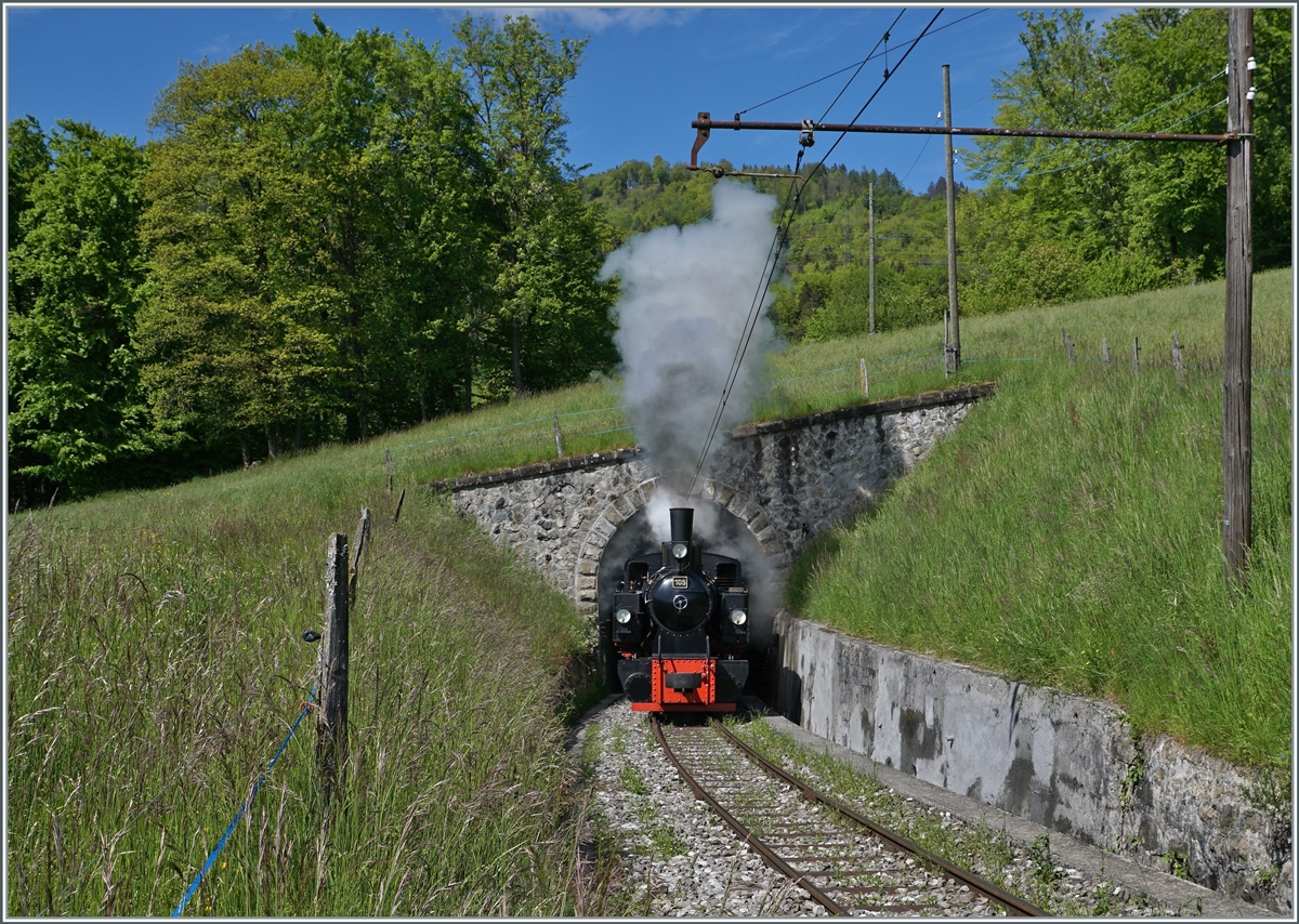 Die G 2x 2/2 105 der Blonay-Chamby Bahn hat die Baye de Clarens Schlucht und den kurzen Tunnel hinter sich gelassen und dampft nun Chamby entgegen. 

23. Mai 2021