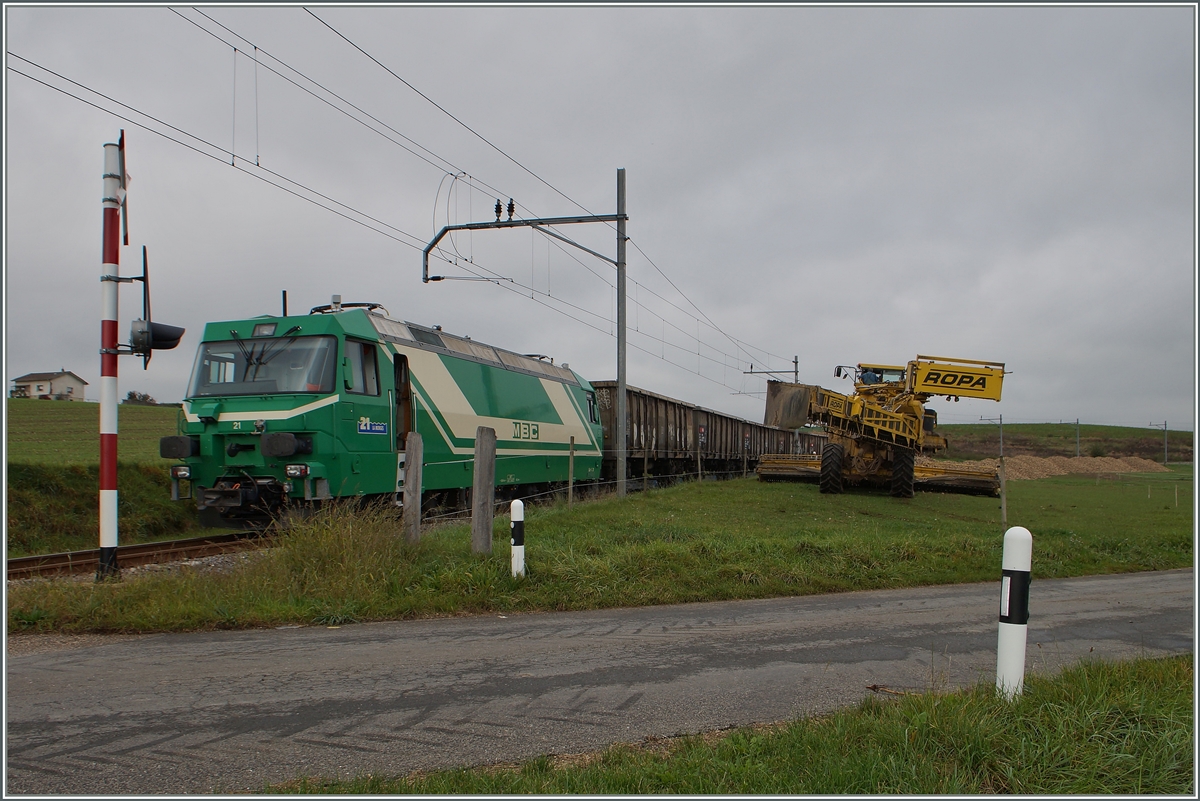 Die Lok ist abgebügelt, die Fahrleitung geerdet und wie man sieht, warten ein ganze Menge Zuckerrüben auf den Verlad.
Bei Mauraz, den 15. Okt. 2014
