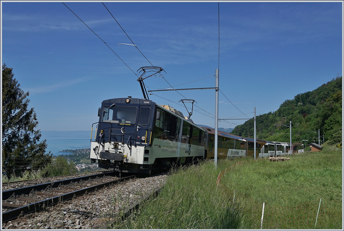 Die MOB GDe 4/4 6005 mit dem PE 2122 von Montreux nach Zweisimmen bei Sonzier. Nach langem 
verkehrt der Zug wieder in einer  normalen  Länge und wie gewohnt mit Lok und Komposition. 

9 Mai 2020