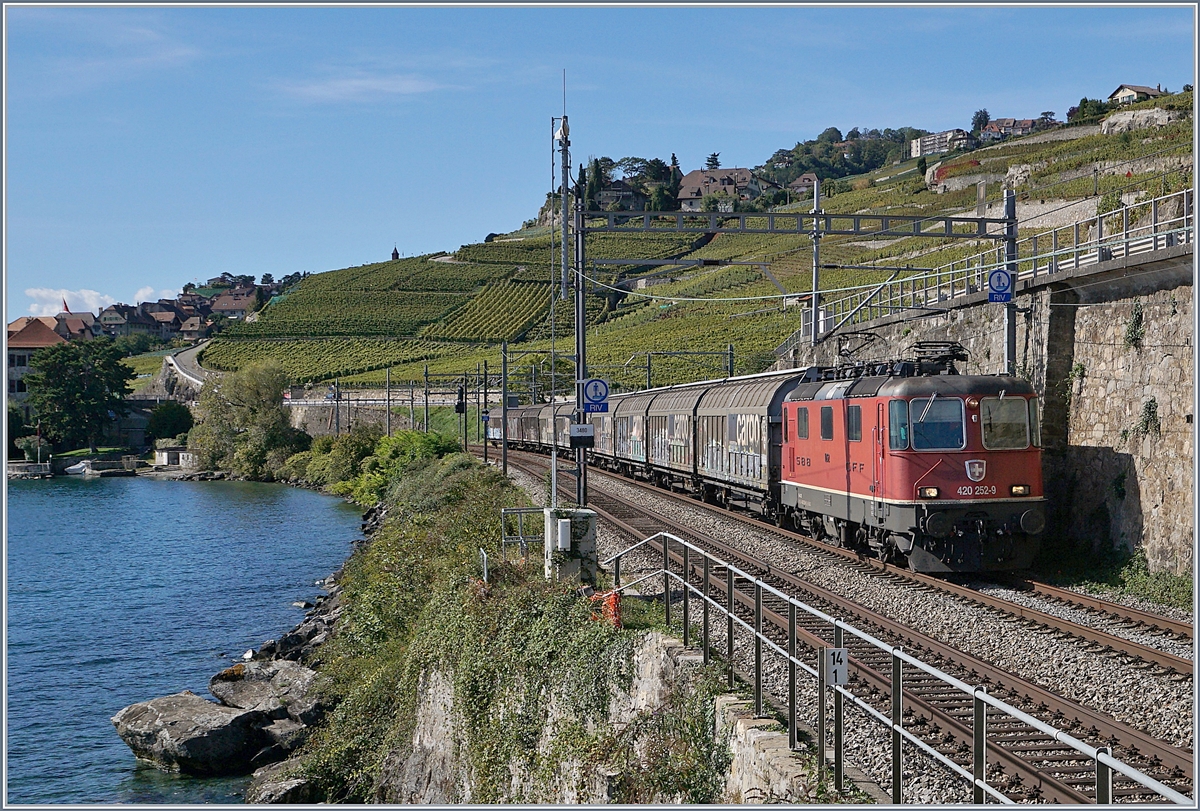 Die SBB Re 420 252-9 mit einem Güterzug auf der Fahrt Richtung Vevey kurz nach Rivaz. 

30. Sept. 2019