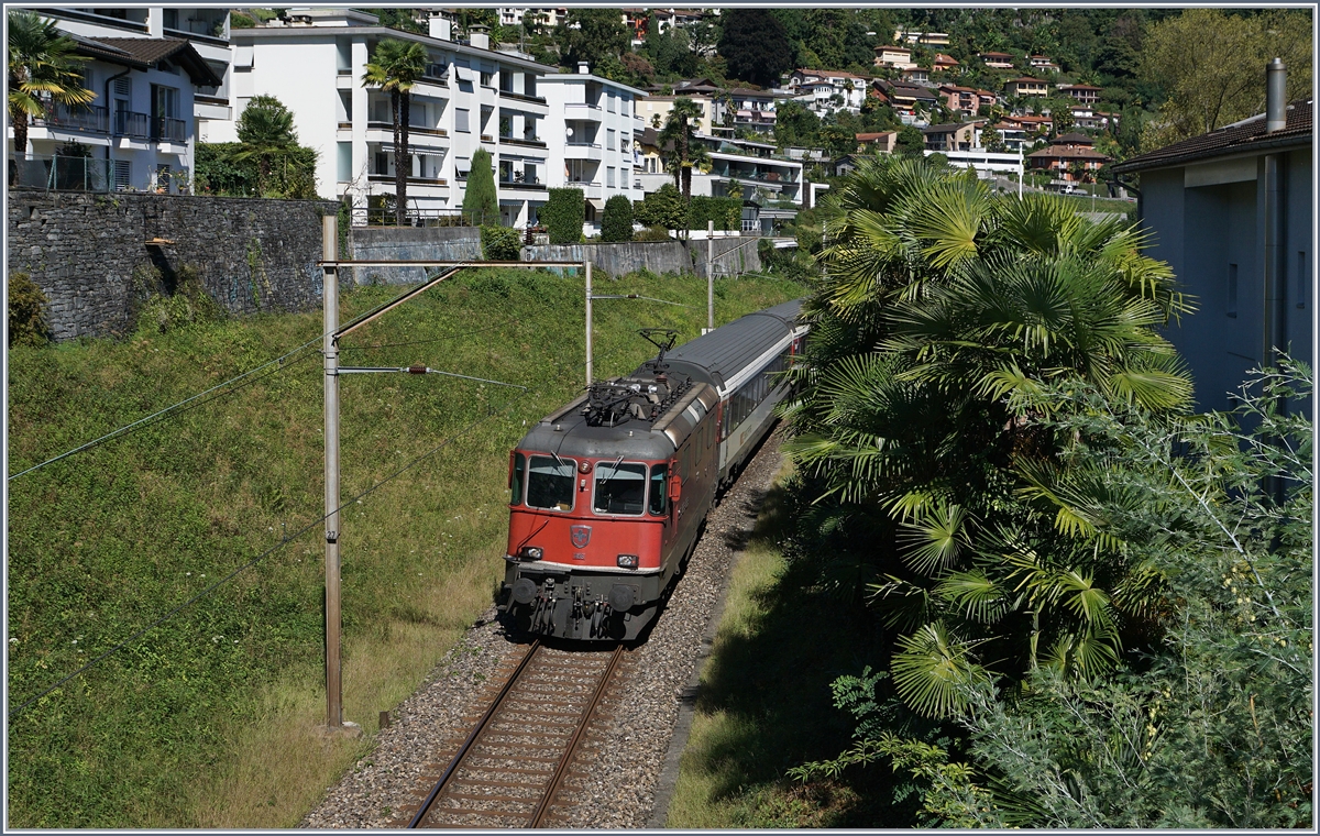 Die SBB Re 4/4 II 11159 erreicht mit ihrem IR 2319 von Basel SBB nach Locarno in Kürze ihr Ziel.
19. September 2016