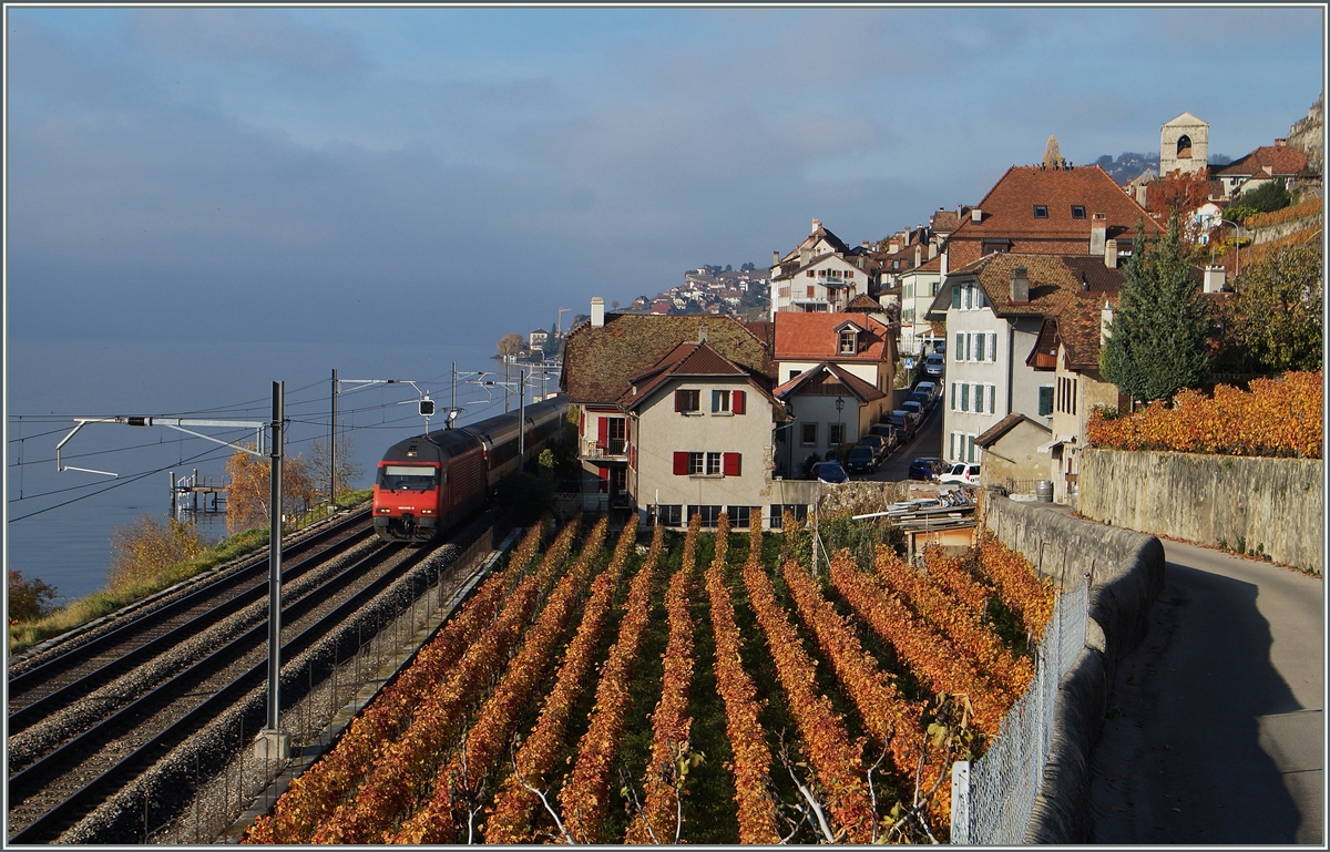 Die SBB Re 460 049-0 mit ihrem IR 1713 von Genève Aéroport nach Brig bei St-Saphorin. 
22. Nov. 2014