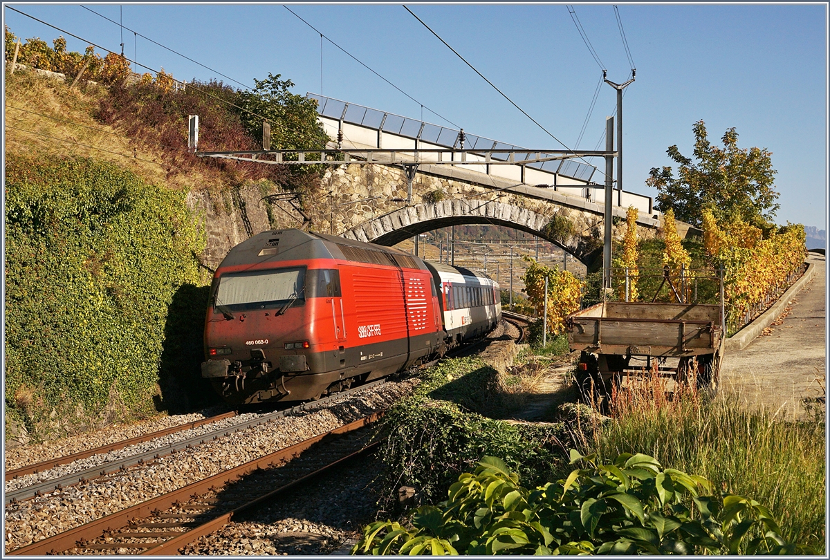 Die SBB Re 460 068-0 schiebt bei Cully ihren IR Richtung Brig.
16. Okt. 2017