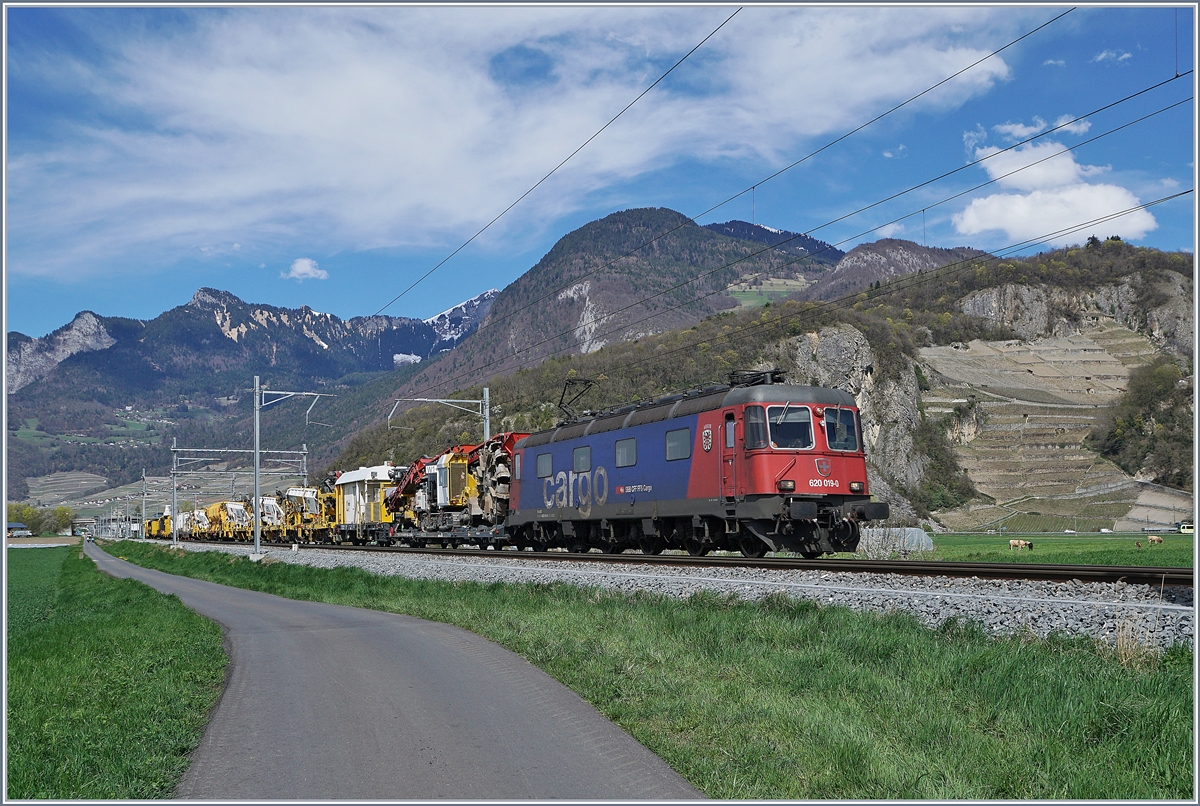 Die SBB Re 620 019-0 mit einem langen,  gelben  Zug zwischen Aigle und St-Triphon. Ganz recht im Bild und erst bei der Bildbearbeitung entdeckt, steckt eine TPC GTW Be 2/6 noch seine  Nase  ins Bild.
12. April 2018
