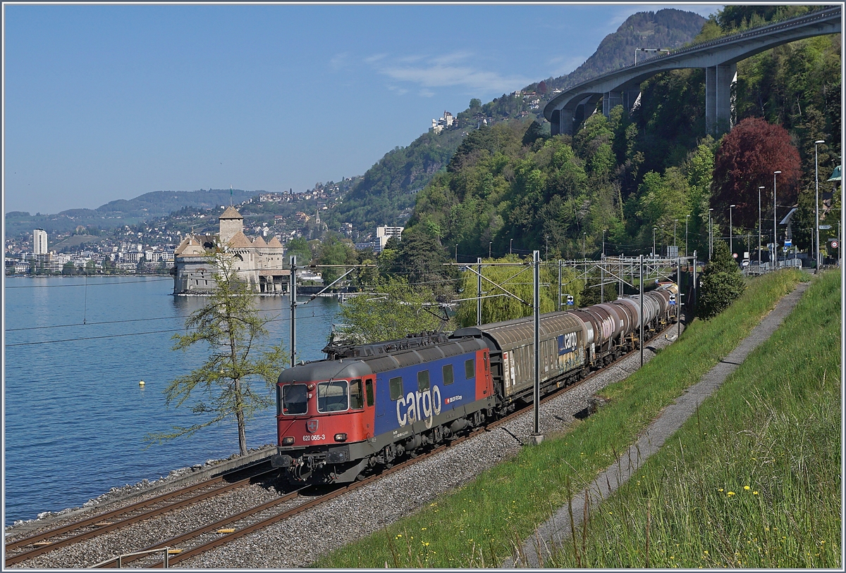 Die SBB Re 6/6 116665 (UIC 91 85 4620 065-3 CH-SBBC) ist mit einem Güterzug in Richtung Wallis beim Château de Chillon kurz vor Villeneuve unterwegs. 

16. April 2020