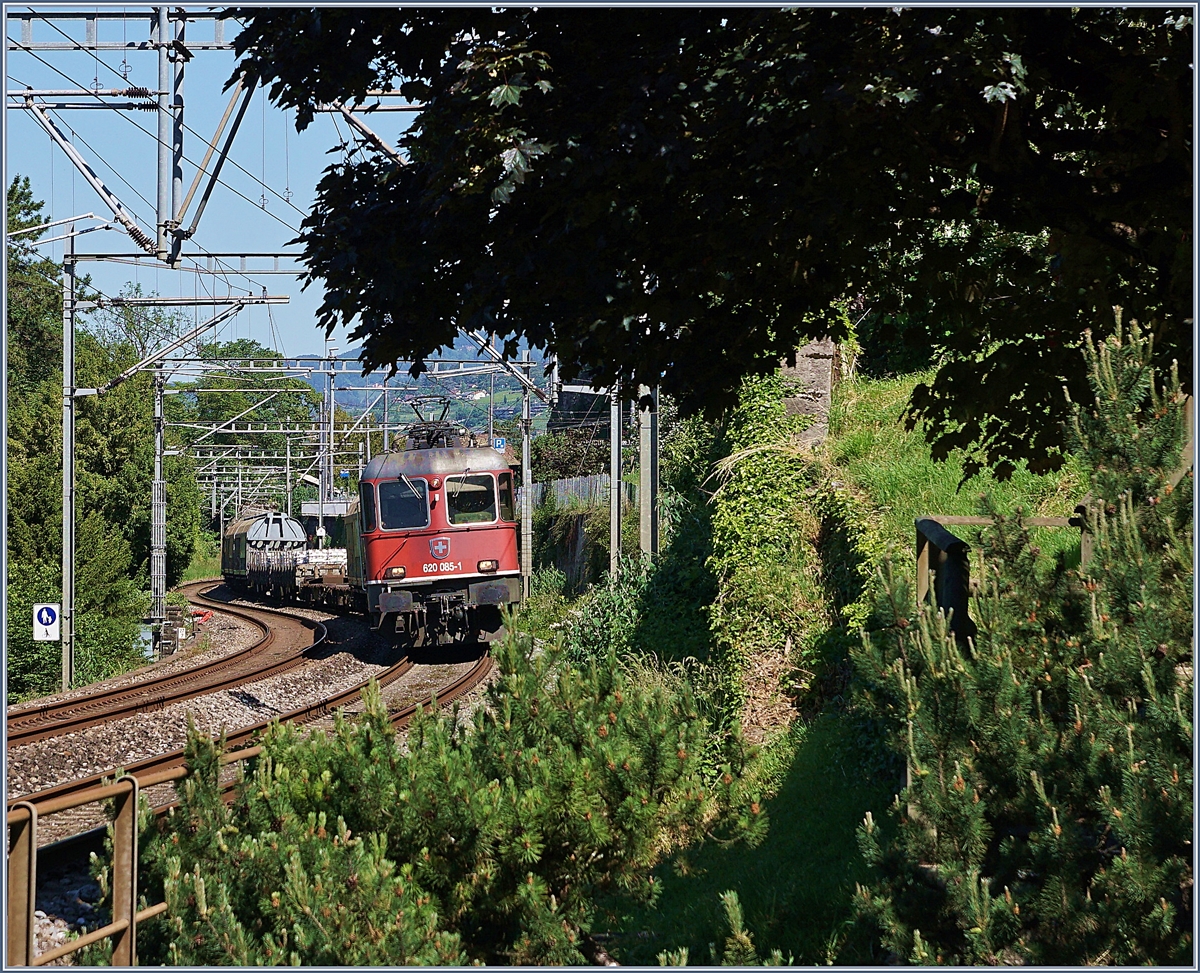 Die SBB Re 6/6 11685 (Re 620 085-1)  Sulgen  schlängelt sich mit ihrem Güterzug auf der Fahrt in Richtung Wallis hinter dem Château de Chillon durch. 

20. Mai 2020