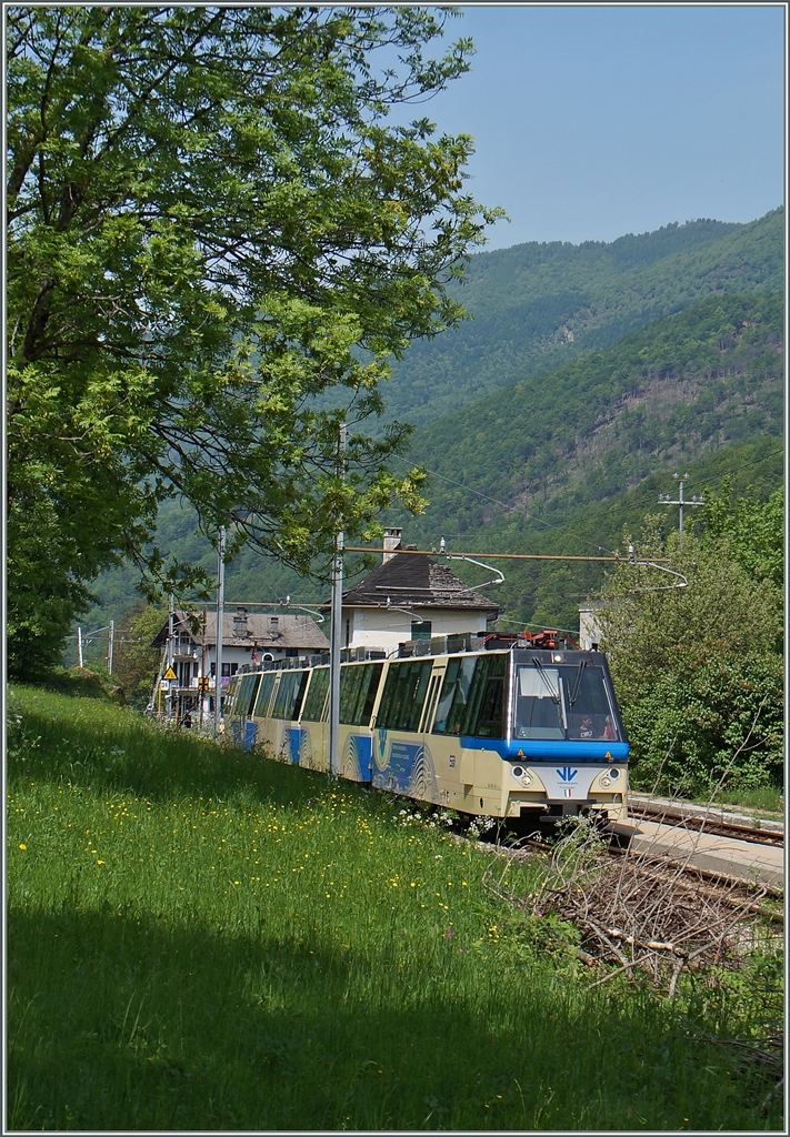 Ein ABe 12/16 wartet auf der Station Gagnone-Orcesco auf den Gegenzug. 
13. Mai 2015