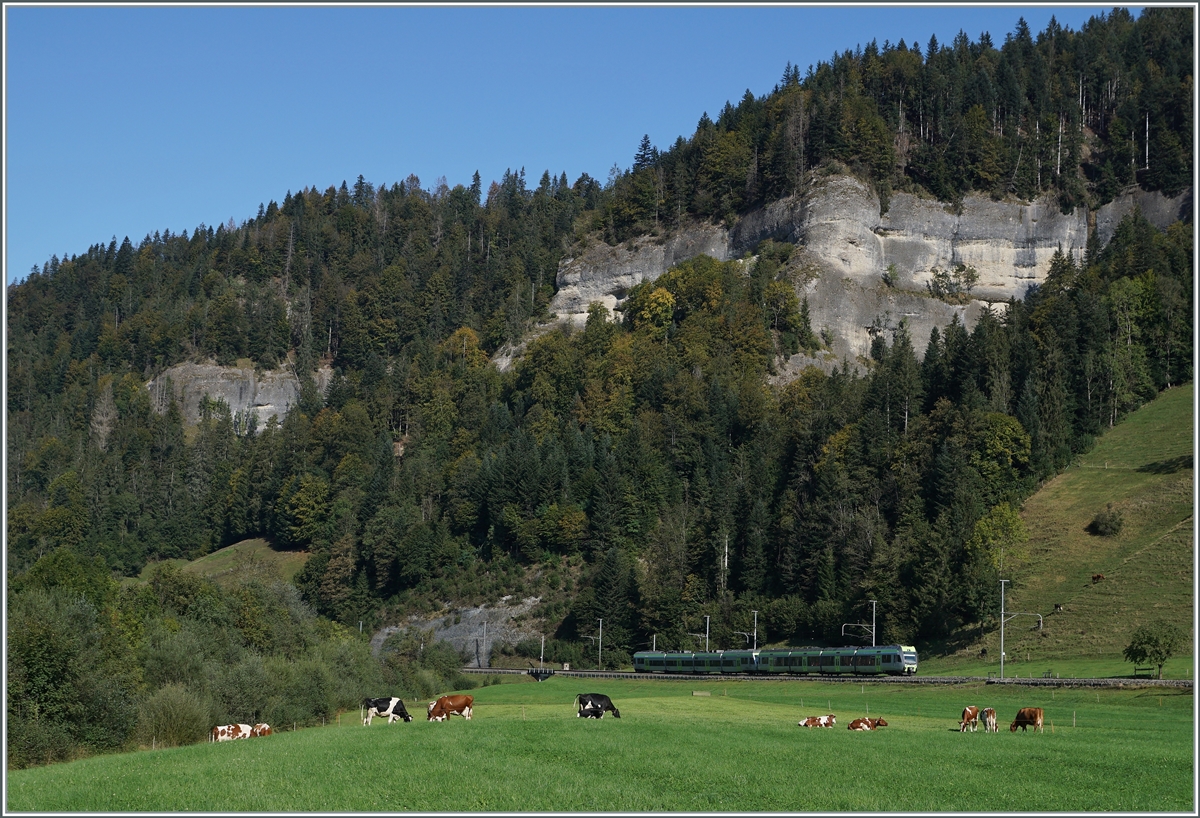 Ein BLS RABe 535  Lötschberger  und RABe 525  NINA  haben das Emmental verlassen und fahren nun durchs Entlebuch in Richtung Wolhusen.

30. Sept. 2020