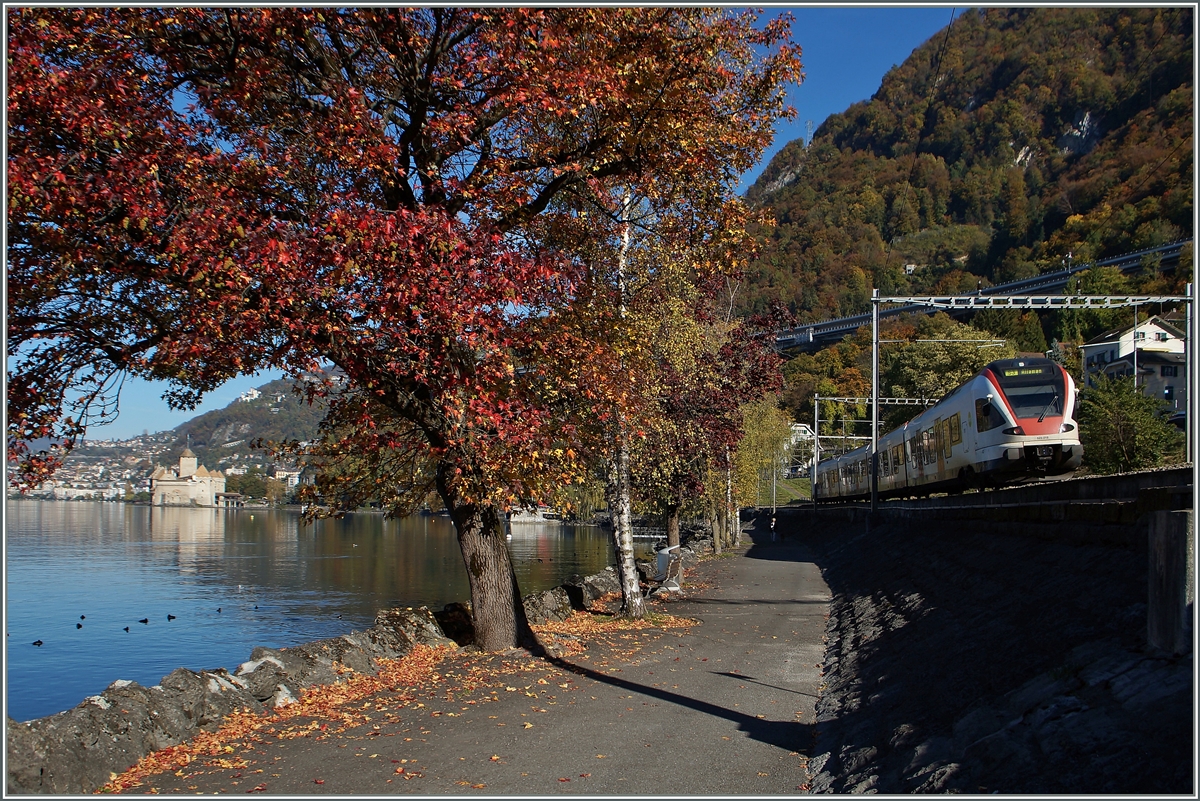 Ein Flirt als S 3 auf dem Weg nach Allaman hat Villeneneuve verlassen und wird gleich beim Château de Chillon vorbeifahren.
1. Nov. 2014