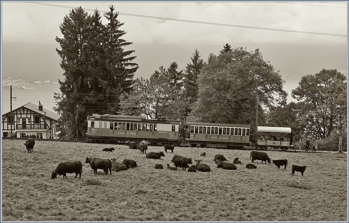 Ein herrlicher LLB Zug bei Chaulin auf der Blonay Chamby Bahn anlässlich der B-C  Belle Epoque  Tage.
17 Sept. 2017