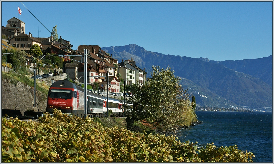 Ein Interregio fährt an St.Saphorin vorbei.
(28.10.2013)