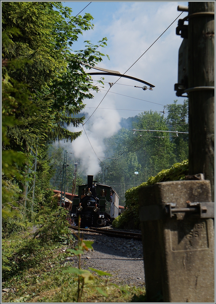Ein vegetarischer Blick auf die zum Teil grüne B-C G 3/3 N° 5 in Chaulin.
25. Mai 2015