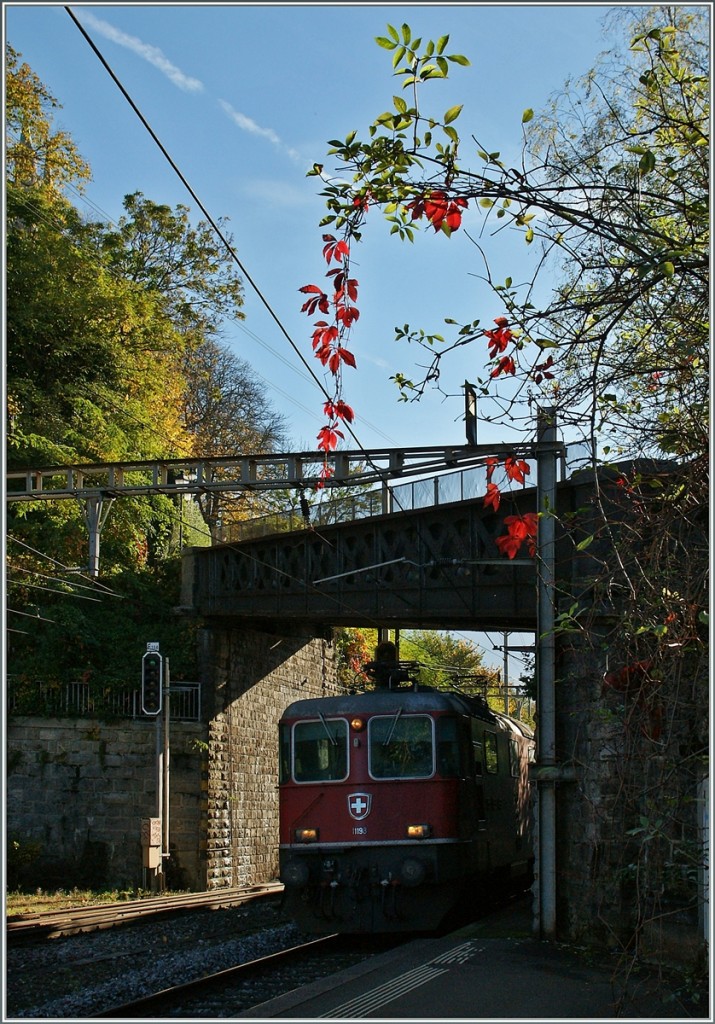 Herbstfotografie ist f�r mich immer mehr Gegenlichtfotogarfie, wobei Vorstellung und Resulat noch etwas voneinander abweichen...
Re 4/4 II in Vevey am 28. Okt. 2013