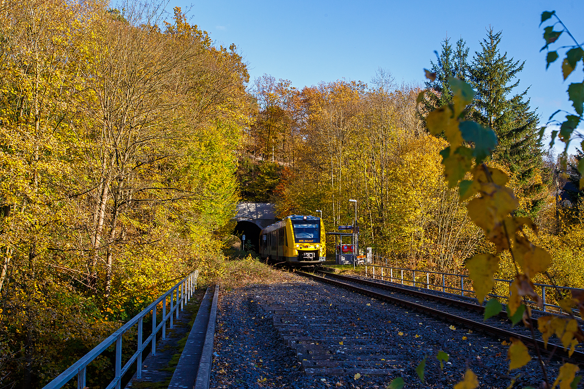 Herbstzeit im Hellertal.....
Der VT 502 (95 80 1648 102-9 D-HEB / 95 80 1648 602-8 D-HEB) ein Alstom Coradia LINT 41 der neuen Generation der HLB (Hessische Landesbahn GmbH) hat am 01.11.2021 den Herdorfer Tunnel (137 m lang) verlassen und erreicht nun den Bedarfs-Haltepunkt Herdorf-Königsstollen. Er fährt als RB 96  Hellertalbahn  die Verbindung Neunkirchen - Herdorf - Betzdorf.
