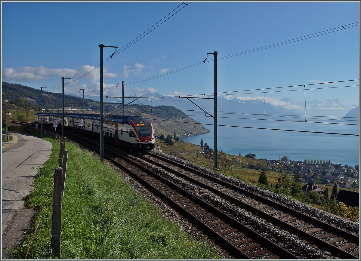 Hier wird dem Zug, dem RABe 511 von Romont nach Genève, ganz klar nur eine schattige Nebenrolle eingeräumt.
Bei Grandvaux, den 23. Okt. 2014