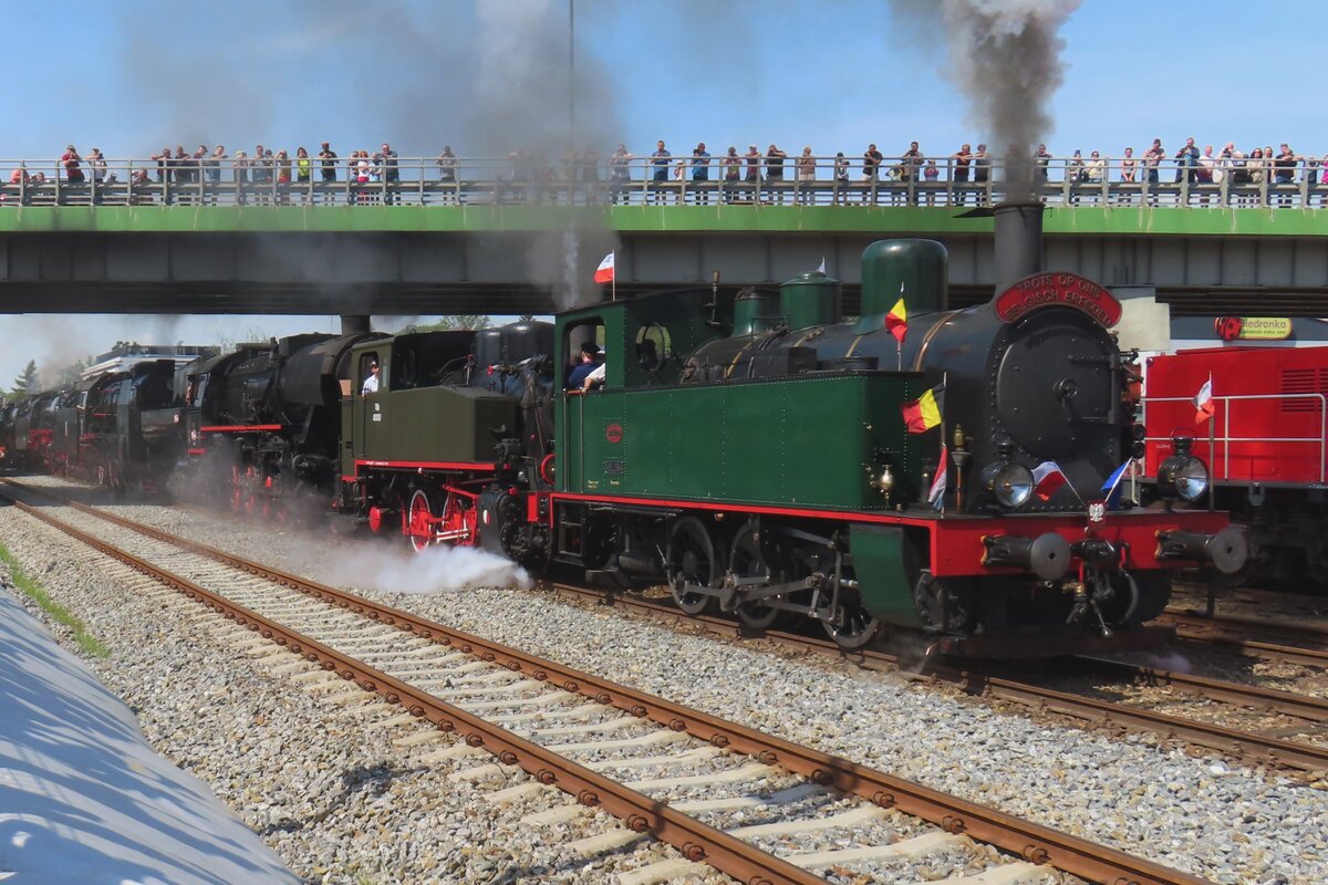 Nach der Dampflokparade am 4 Mai 2024 zieht 2069 'HELENA' aus Belgien alle sieben Teilnemer (sichselbst, 503 aus Luxembourg, 555 1053 ausd Tschechien, 44 1144 und 52 8079 aus Deutschland und 05353 und Pt47-65 aus Wolsztyn selbst) aus der Bahnhof ins Depot. Das Bild wurde vom Bahnsteig gemacht.
