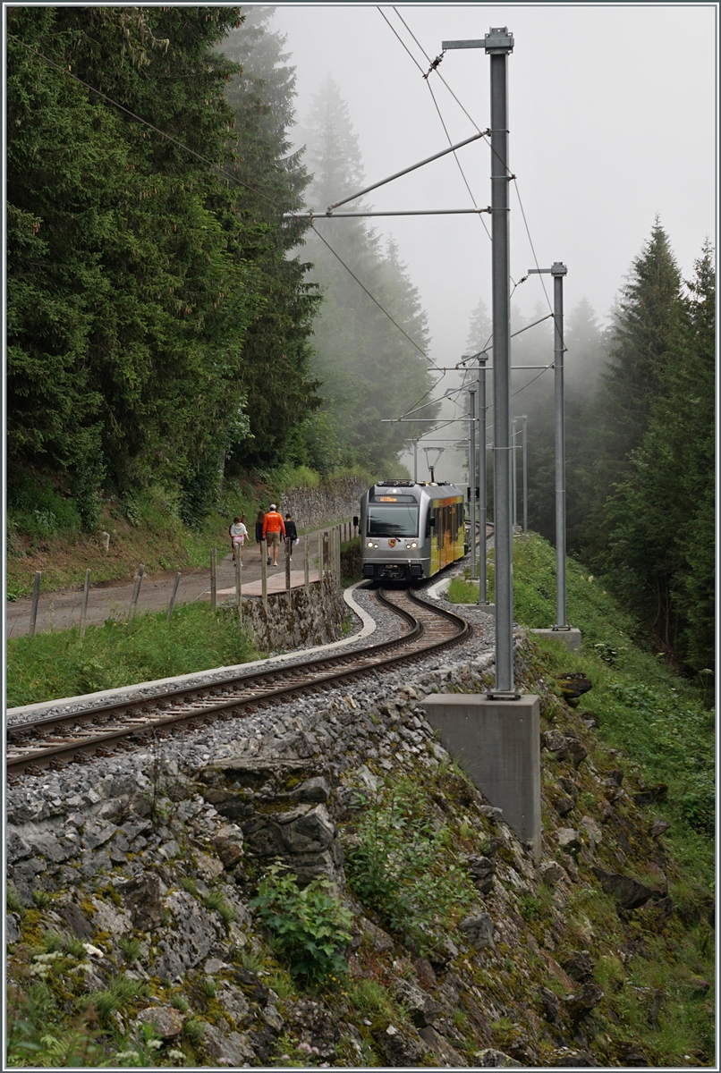 Nun sind die BLM Be 4/6 im Planbetrieb zu sehen. Zur Zeit fahren sie mit den aktuellen Triebwagen Be 4/4 21, 23 und 31 im Mischbetrieb, was fototechnisch gar nicht so einfach zu zeigen ist. Der BLM 4/6 102  Mönch  ist als R66 3747 von der Grütschalp nach Mürren im nebligen Wald schon fast am Ziel seiner Fahrt über die kurvenreiche Strecke, deren Höchstgeschwindigkeit für die neuen Züge bei 50 Km/h liegen wird, wobei dafür die Fahrdrahtspannung erhöht werden muss (was ein Einsatz der aktuellen Triebwagen Be 4/4 verunmöglicht). Vorteil: durch die schnellere Fahrt genügen künftig zwei statt drei Züge um die Umläufe abzudecken.   

23. Juli 2024
