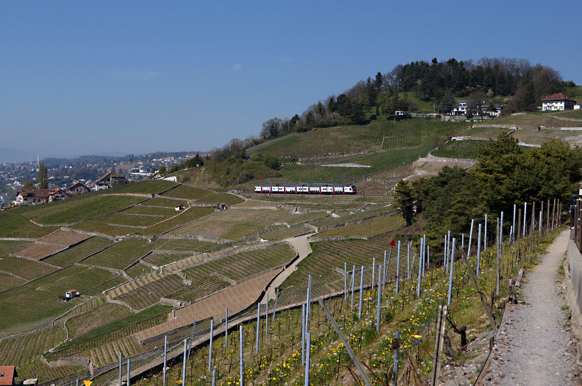 SBB: Im Lavaux, der schönsten Gegend der Schweiz wo gute Weine gedeihen lebt unser lieber Freund und  langjährige Bahnfotograf Stefan Wohlfahrt.
RABe 511 am 8. April 2017 bei Grandvaux unterwegs.
Foto: Walter Ruetsch 
 
