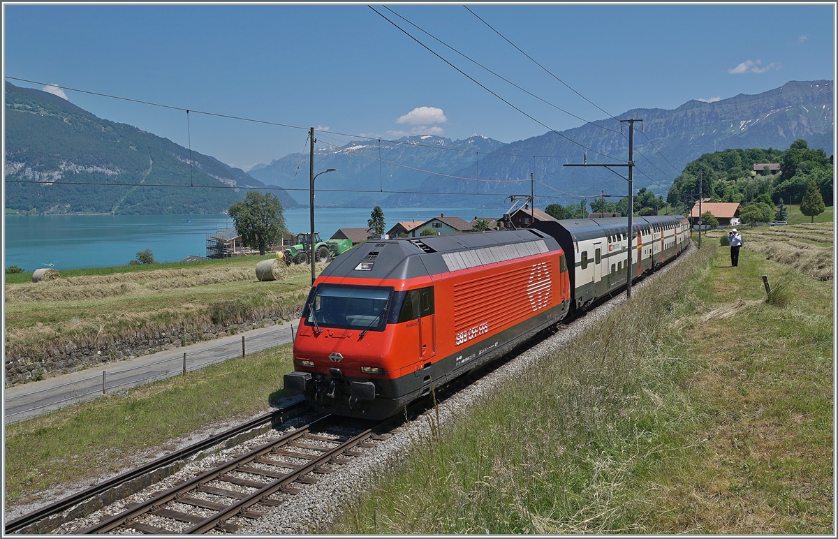 Sommer am Thunersee: die SBB Re 460 115  Heideiland  (UIC 91 85 4 460 115-9 CH-SBB) ist mit einem IC Richtung Bern bei Faulensee unterwegs. 

14. Juni 2021