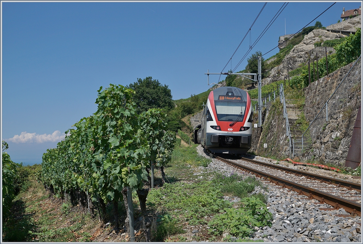 Sommerfahrplan 2018: Der RE 30219 auf dem Weg nach Fribourg oberhalb von St-Saphorin.

19. Juli 2018