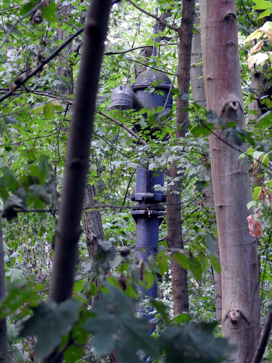 Suchbild für einen Wasserkran im Naturpark Südgelände Berlin, ehemals Verschiebebahnhof Tempelhof, am 05.09.2018.