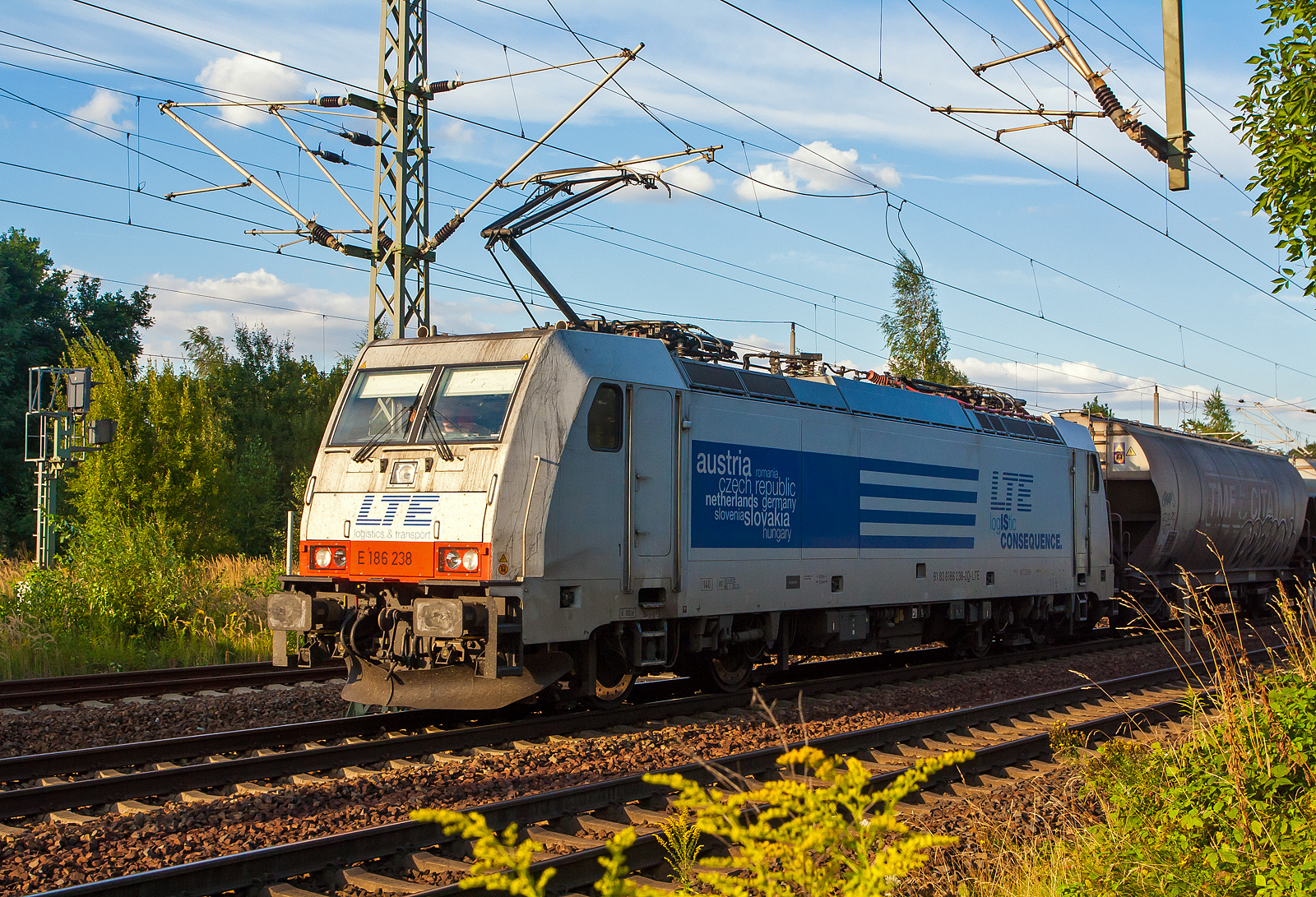 Die E 186 238 (91 80 6186 238-2 D-LTE) der LTE Logistik- und Transport- GmbH fährt am 26 August 2013 mit einem Getreidezug durch Pirna, hier kurz vorm Bahnhof. Nochmals einen leiben Gruß an den netten Lokführer zurück.

Die TRAXX F140 MS wurde 2009 von Bombardier in Kassel unter der Fabriknummer 34442 für die CBRail s.à.r.l. in Luxembourg gebaut, 2012 wurde sie an die LTE vermietet. Die Multisystemlokomotive hat die Zulassungen bzw. besitzt die Länderpakete für Deutschland, Österreich, Belgien und die Niederlande. 

Weitere Lebenslauf der Lok:
Ab September 2015 vermietet an NS - Nederlandse Spoorwegen neue NVR-Nummer 91 80 6186 238-2 D-NS
Am 23.04.2020 verkauft an die AKIEM SAS, NVR-Nummer 91 80 6186 238-2 D-AKIEM
Ab Mai 2022 vermietet an DB Cargo AG und fährt so aktuell als 91 80 6186 238-2 D-AKIEM.

Die Traxx F140 MS gehört zur dritten Traxx-Generation, in Deutschland wird sie als Baureihe 186 bezeichnet. Es handelt sich dabei grob betrachtet um eine Weiterentwicklung der Traxx F140 MS2, also eine Viersystemlok für Wechsel- und Gleichstromsysteme mit 5.600 kW Nennleistung, die Drehgestelle und Antriebe wurden nochmals verbessert, so dass mit dem Tatzlagerantrieb erstmals eine reguläre Höchstgeschwindigkeit von 160 km/h erreicht werden kann. Auch die BR 186 ist mit verschiedenen Länderpaketen erhältlich. 

Geht man nach der Herstellerbezeichnung, handelt es sich bei der BR 186 um eine Güterzuglok, jedoch ist sie dank ihrer nachträglich für Deutschland genehmigten Höchstgeschwindigkeit von 160 km/h auch für Einsätze im Personenverkehr geeignet. Trotz der Geschwindigkeitserhöhung hat die Baureihe die  140  in der Bezeichnung Traxx F140 behalten. In Polen und Österreich darf weiterhin nur bis zu 140 km/h schnell gefahren werden.

TECHNISCHE DATEN:
Spurweite: 1.435 mm (Normalspur)
Umgrenzungsprofil: UIC 505-1
Achsfolge: Bo’Bo’
Länge über Puffer: 18.900 mm
Max. Breite des Lokkastens: 2.977 mm
Höhe über Stromabnehmer: 4.283 mm
Drehzapfenabstand: 10.440 mm
Achsabstand im Drehgestell: 2.600 mm
Dienstmasse: ca. 86 t (abhängig von Länderpaketen)
Antriebssystem: Tatzlagerantrieb
Anzahl Fahrmotoren: 4
Max. Leistung: 5.600 kW
Max. Anfahrzugkraft: 300 kN
zul. Höchstgeschwindigkeit: 140 km/h (in Deutschland 160 km/h)
Netzspannungen: 25 kV AC 50 Hz, 15 kV AC 16,7 Hz, 3 kV und 1,5 kV DC