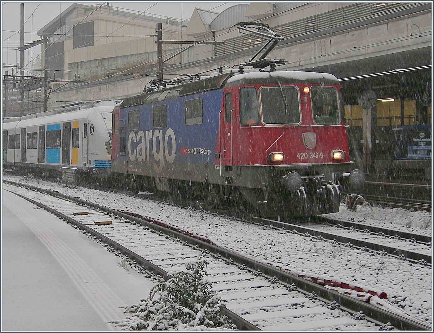 Die SBB Cargo Re 420 346-9 (Re 4/4 II 11346) wartet in Lausanne auf die Weiterfahrt. Am Haken hängt der DB 430 213 der S-Bahn Stuttgart. Hängt am Haken? 
Erst als es zu spät war bzw. der Zug abgefahren war, fiel mir ein, dass die DB 430 und eine SBB Re 4/4 II nicht die gleichen Kupplungen haben und wohl aus diesem Grund die Triebzüge bisher immer mit der RailAdventure GmbH, München nach Villeneuve gebracht wurden. 
Zum Bildschnitt: Ich habe den Triebwagen bewusst an dieser Stelle unschön abgeschnitten, da der Rest stark versuddelt war.  

21. November 2021 