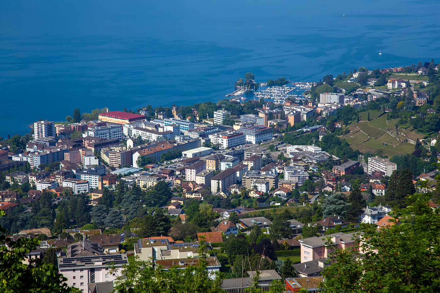 Ein Loksuchbild, eine Re 6/6 (Re 620) der SBB Cargo fährt am 27.05.2023 durch Clarens (ein Quartier der Stadt Montreux) in Richtung Lausanne.

Es die Aussicht vom Bahnhof Chamby auf den Genfersee. Hinten der Port du Basset – Montreux und die Insel Salagnon (auch als „Schwaneninsel“ bekannt). 