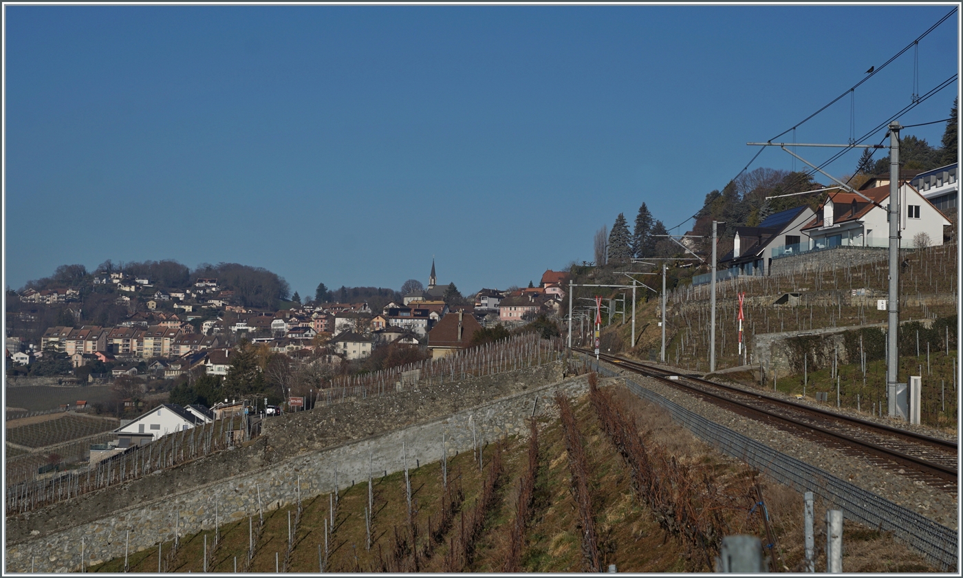 Ein nicht ganz einfaches Zugsuchbild: Der SBB Flirt3 RABe 523 503  Mouette  (RABe 94 85 0 523 503-6 CH-SBB) wartet in Chexbres auf die Abfahrt nach Vevey. 

15. Februar 2023